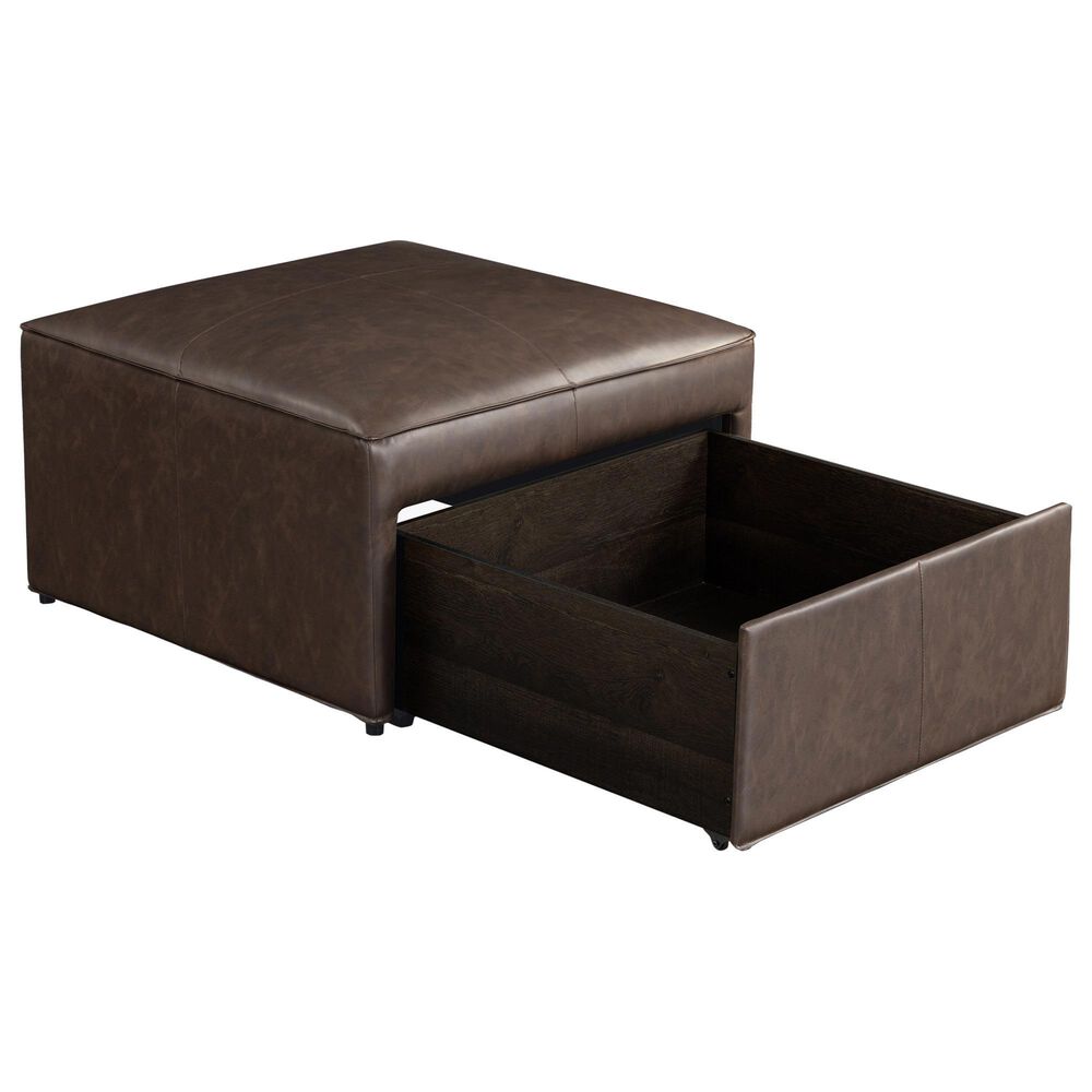 Lifestyle Solutions Hailey Storage Ottoman in Brown, , large