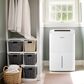 Amana 50-Pint Dehumidifier in White, , large
