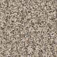 Shaw Bold Move Plus Carpet in Oatmeal, , large