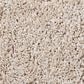 Shaw Foundations Take The Floor Twist II Carpet in Patience, , large