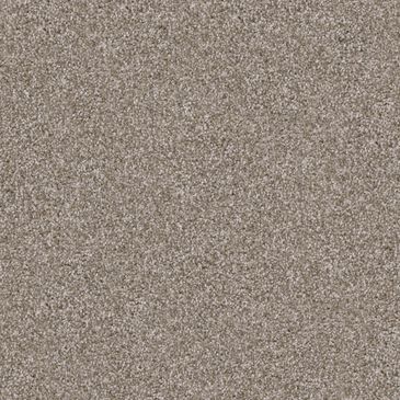 Dixie Home Guard Carpet in Yorkie, , large