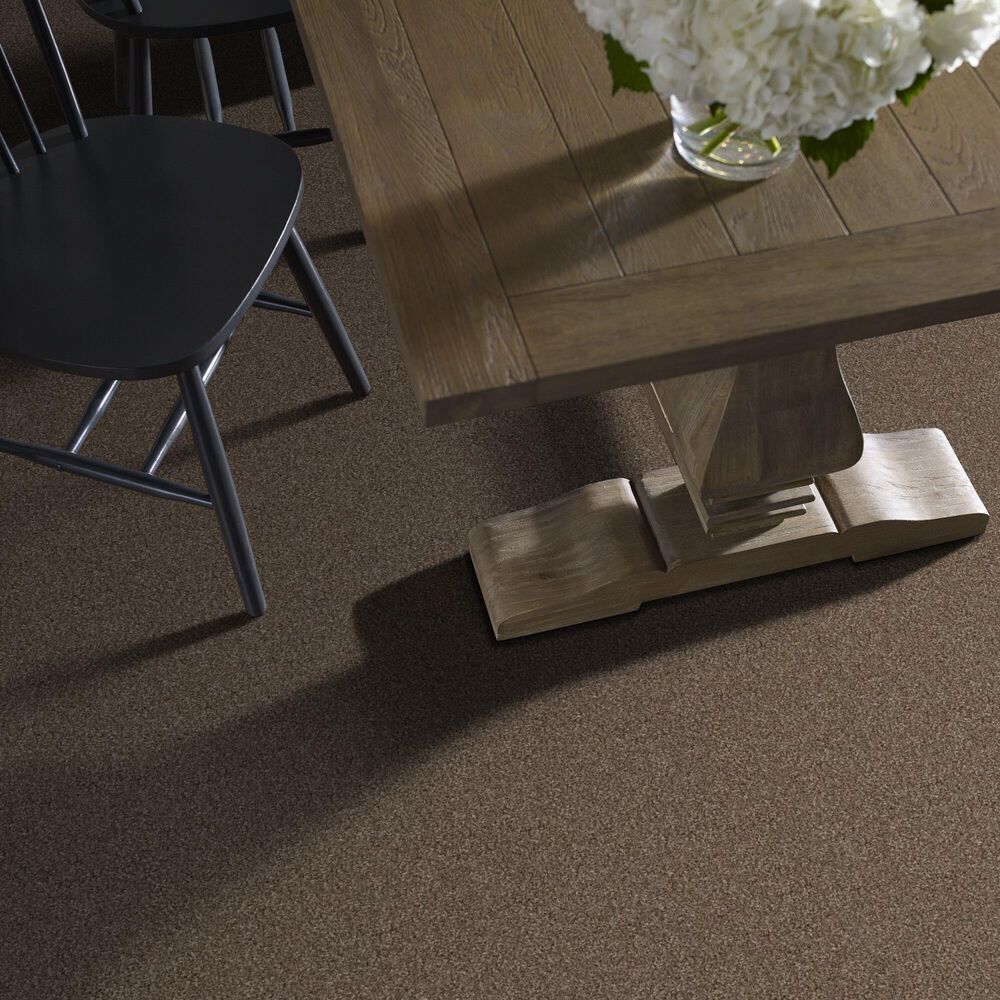 Shaw Yes You Can II Carpet in Worn Path, , large