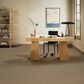 Anderson Tuftex Zion Carpet in Camel, , large