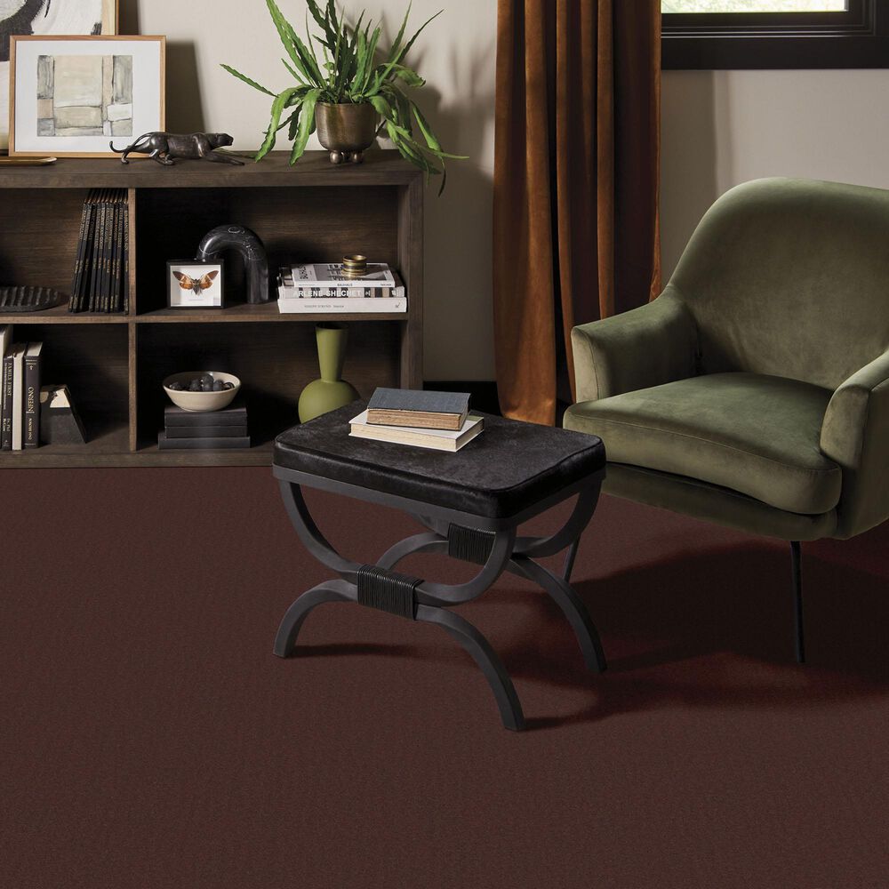 Anderson Tuftex Finery Carpet in Umber, , large