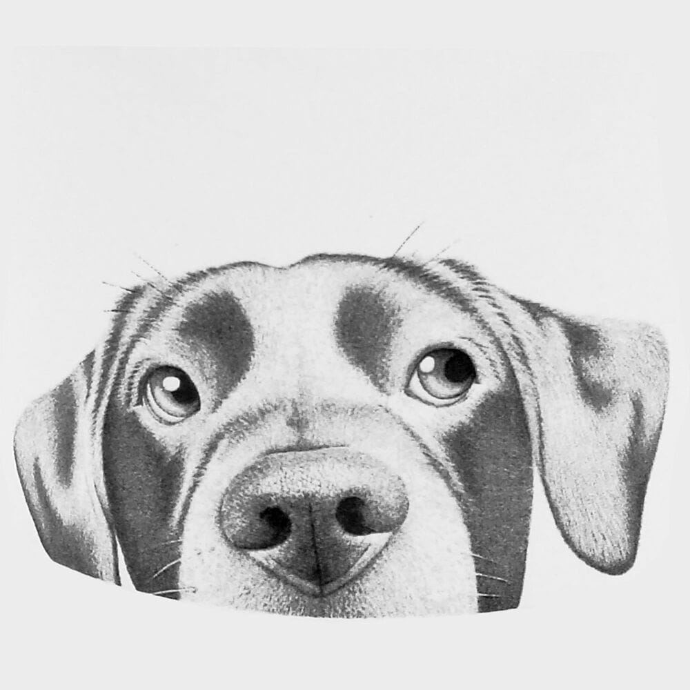 Pavilion Coffee Then Walkie 17 Oz Mug in Gray and White, , large