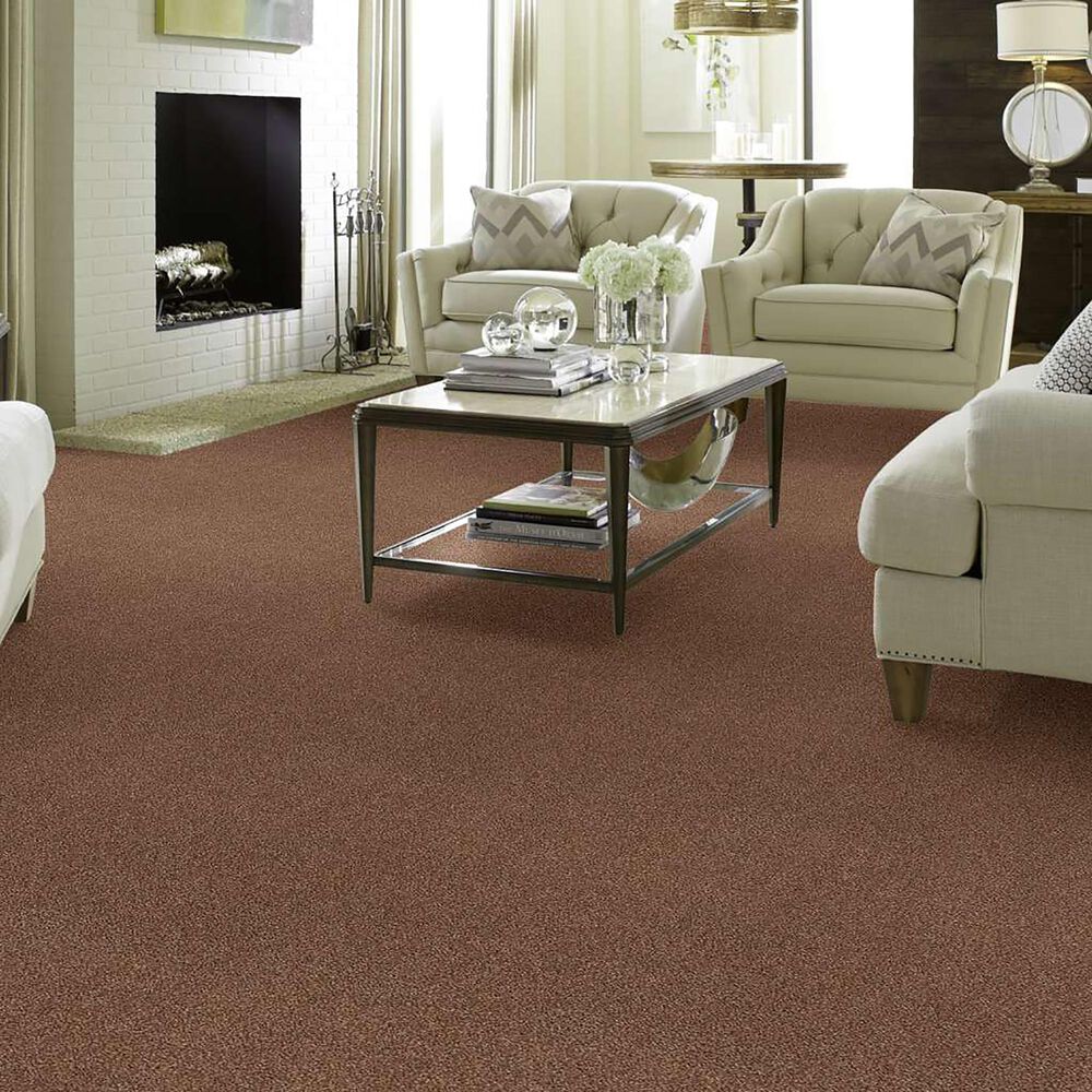 Anderson Tuftex Caress Cozy Harbor I Carpet in Sunbaked, , large