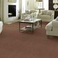 Anderson Tuftex Caress Cozy Harbor I Carpet in Sunbaked, , large