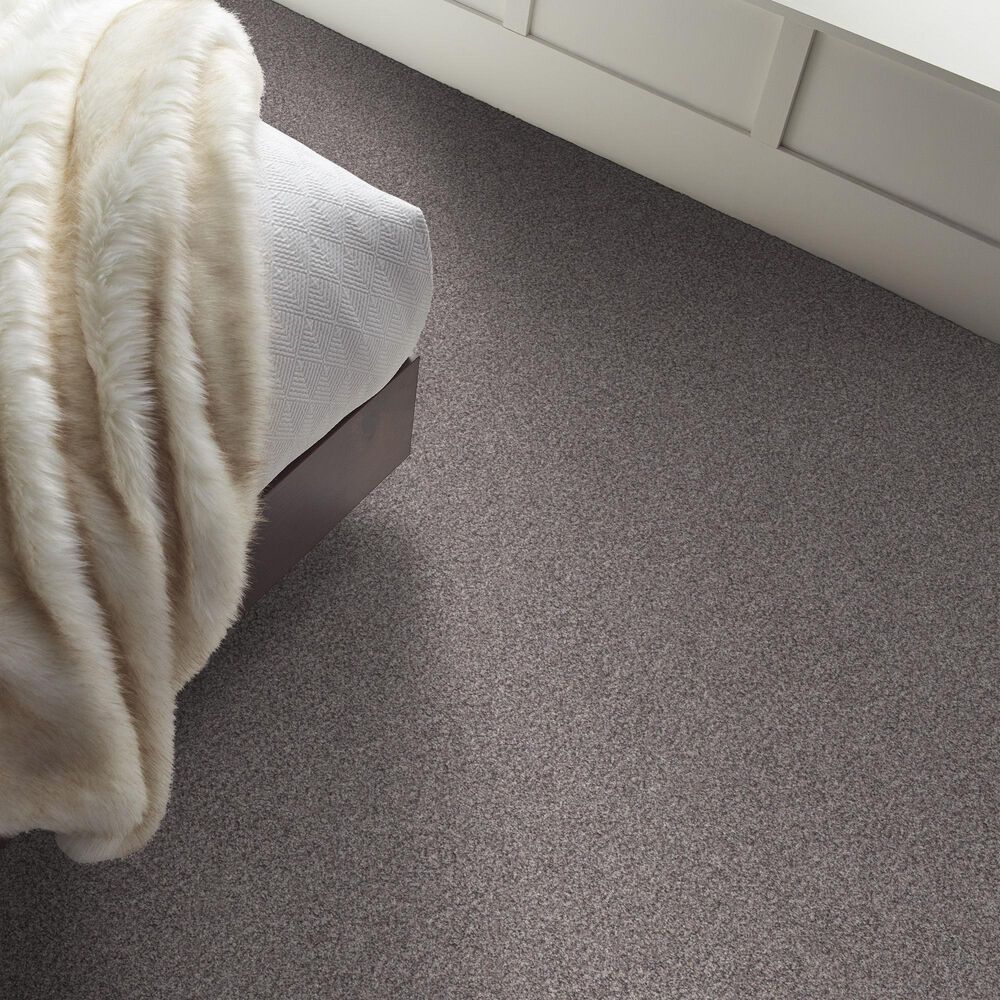 Shaw Inlet Shore II Carpet in Overcast, , large