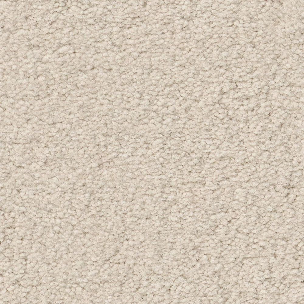 Anderson Tuftex Finery Carpet in Arctic Hare, , large