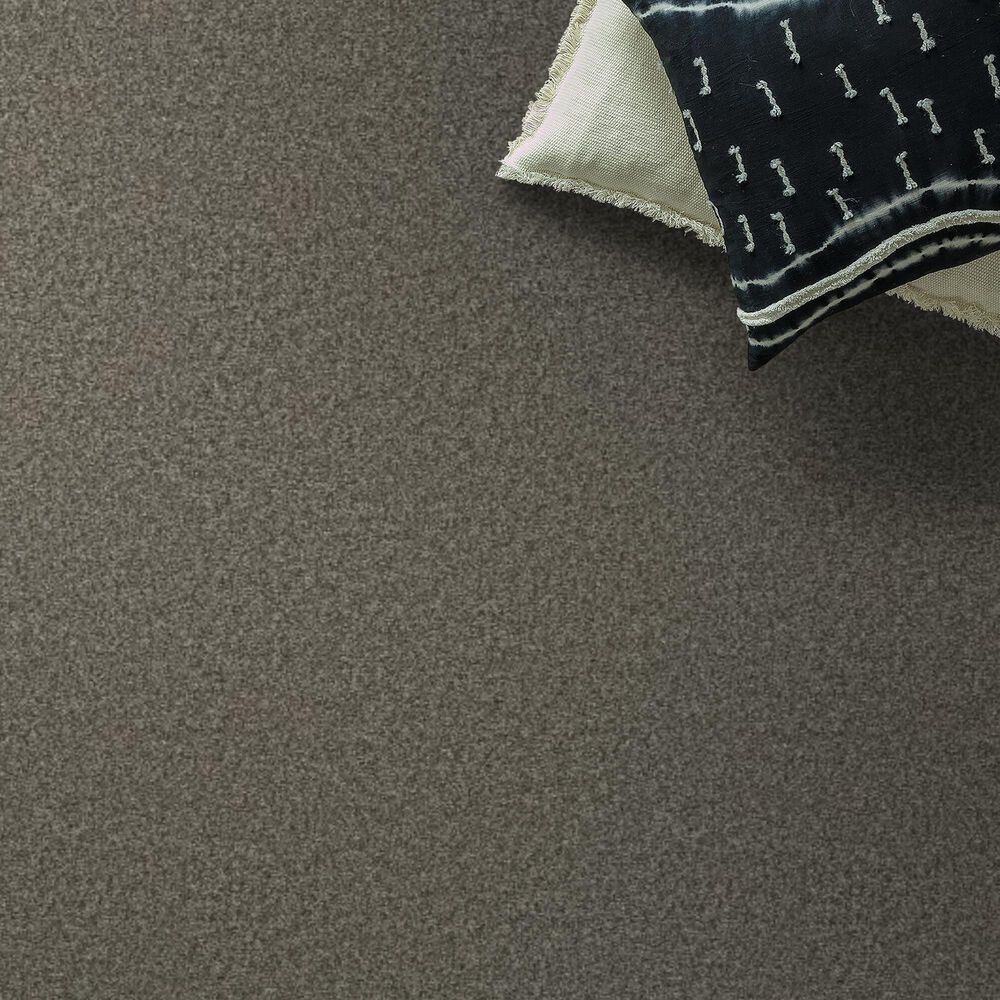 Shaw You Got This II Carpet in Rerooted Nature, , large