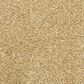 Masland Classical Carpet in Cadence, , large