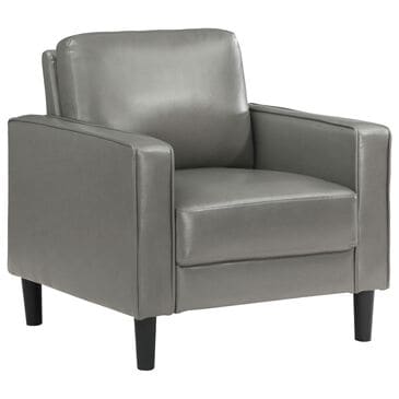 Coaster Ruth Accent Arm Chair in Grey, , large
