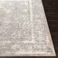 Surya Alpine ALP-2307 2" x 2"11" Light Gray, Taupe, Medium Brown, Gray and Charcoal Area Rug, , large
