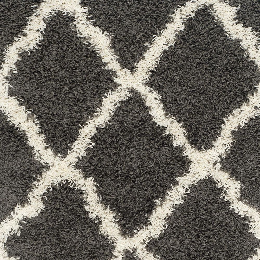 Safavieh Dallas Shag SGD257A-3 3&#39; x 5&#39; Dark Grey/Ivory Area Rug, , large