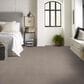 Shaw Easy Fit Carpet in Mesa, , large