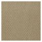 Shaw Latest Trend Carpet in Alpaca, , large