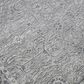 Amer Rugs Inara 4" x 6" Light Gray Area Rug, , large