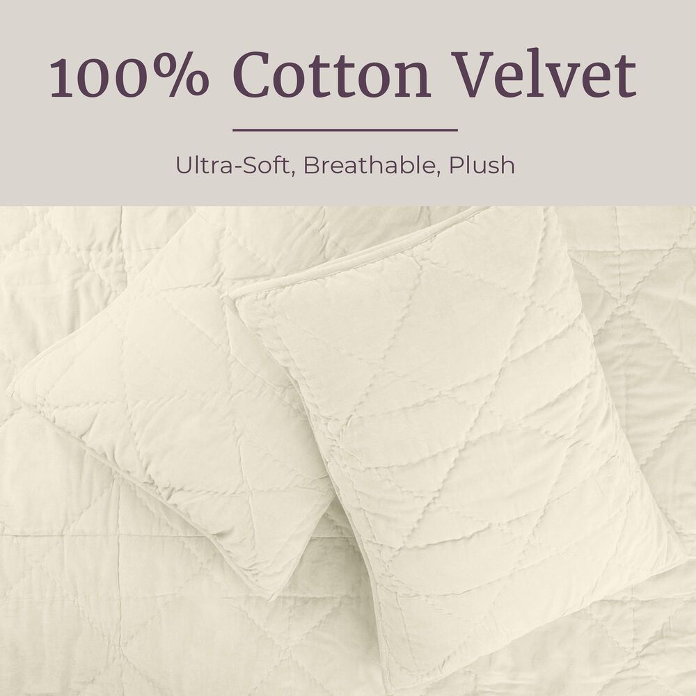 Timberlake 2-Piece Velvet Twin Quilt Set in Cream, , large
