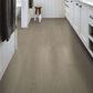 Shaw Dwell Gossamer Grey 9" x 60" Luxury Vinyl Plank, , large