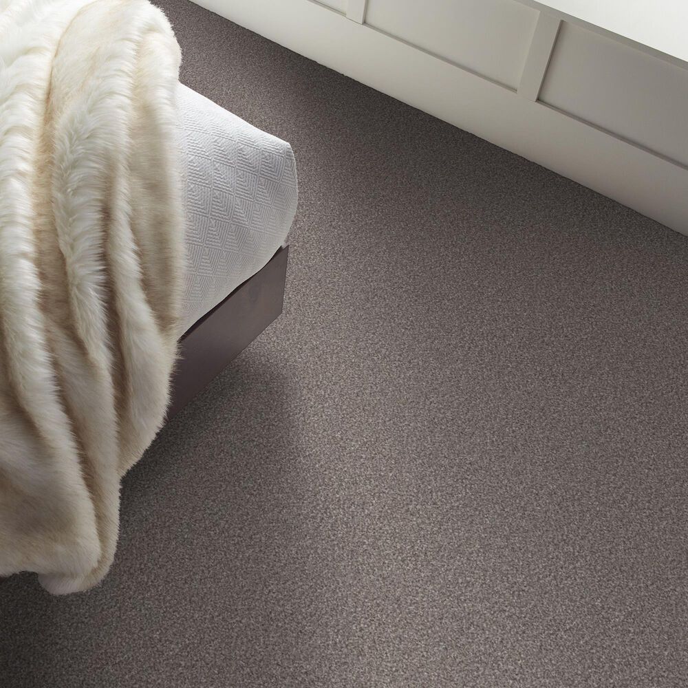 Shaw Truspirit Ii Carpet in Stainless, , large