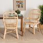 Baxton Studio Sumatera Arm Chair in Natural Brown (Set of 2), , large