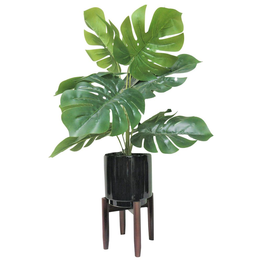 24" Mostera with Ceramic Stand, , large