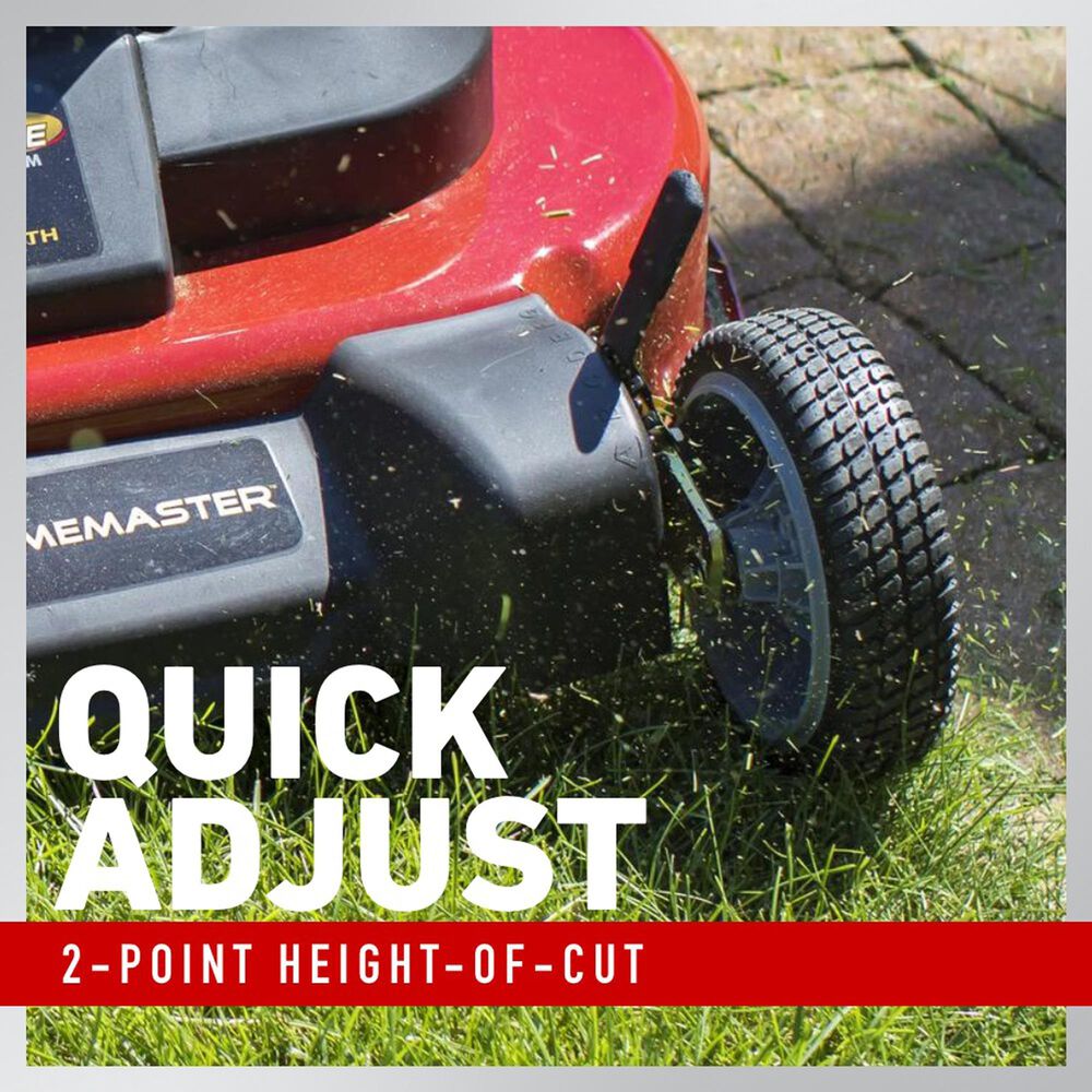 Toro TimeMaster 30&quot; Gas-Powered Personal Pace Lawn Mower, , large