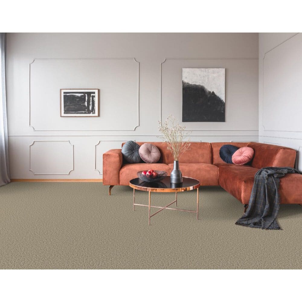 Dixie Home Riverbend Carpet in Pebble, , large