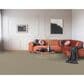 Dixie Home Riverbend Carpet in Pebble, , large