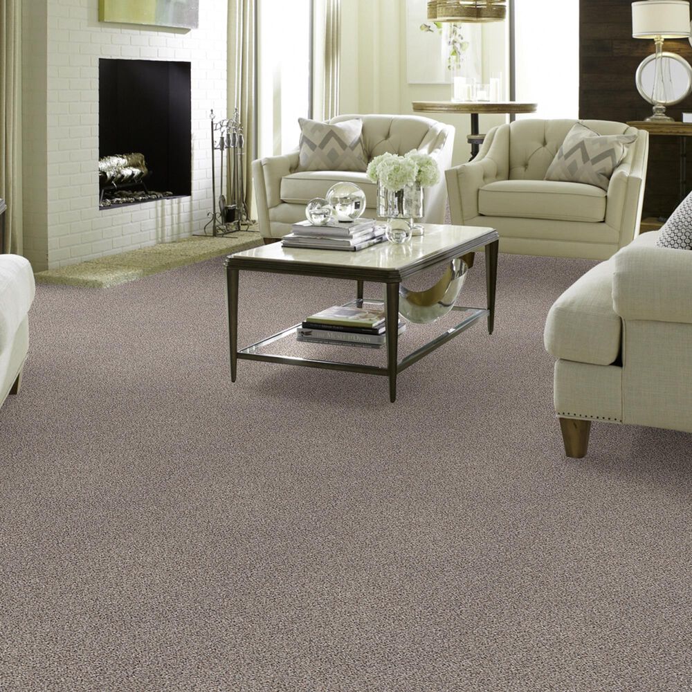 Shaw Foundations Take The Floor Accent II Carpet in Cold Springs, , large