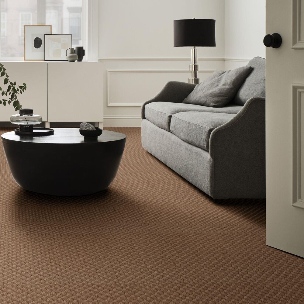 Anderson Tuftex Inspired Design Carpet in Sunbaked, , large