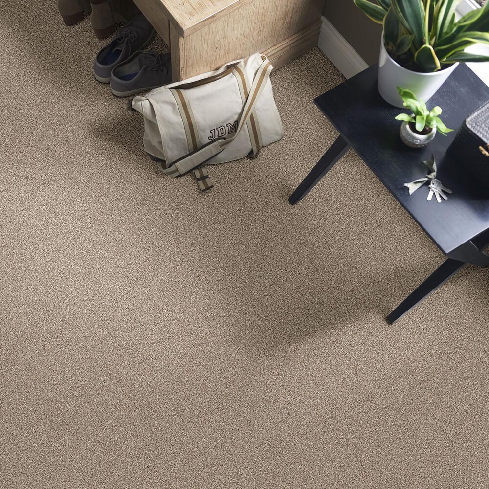 Philadelphia Influencer Carpet in Sun Kissed, , large