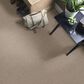 Philadelphia Influencer Carpet in Sun Kissed, , large