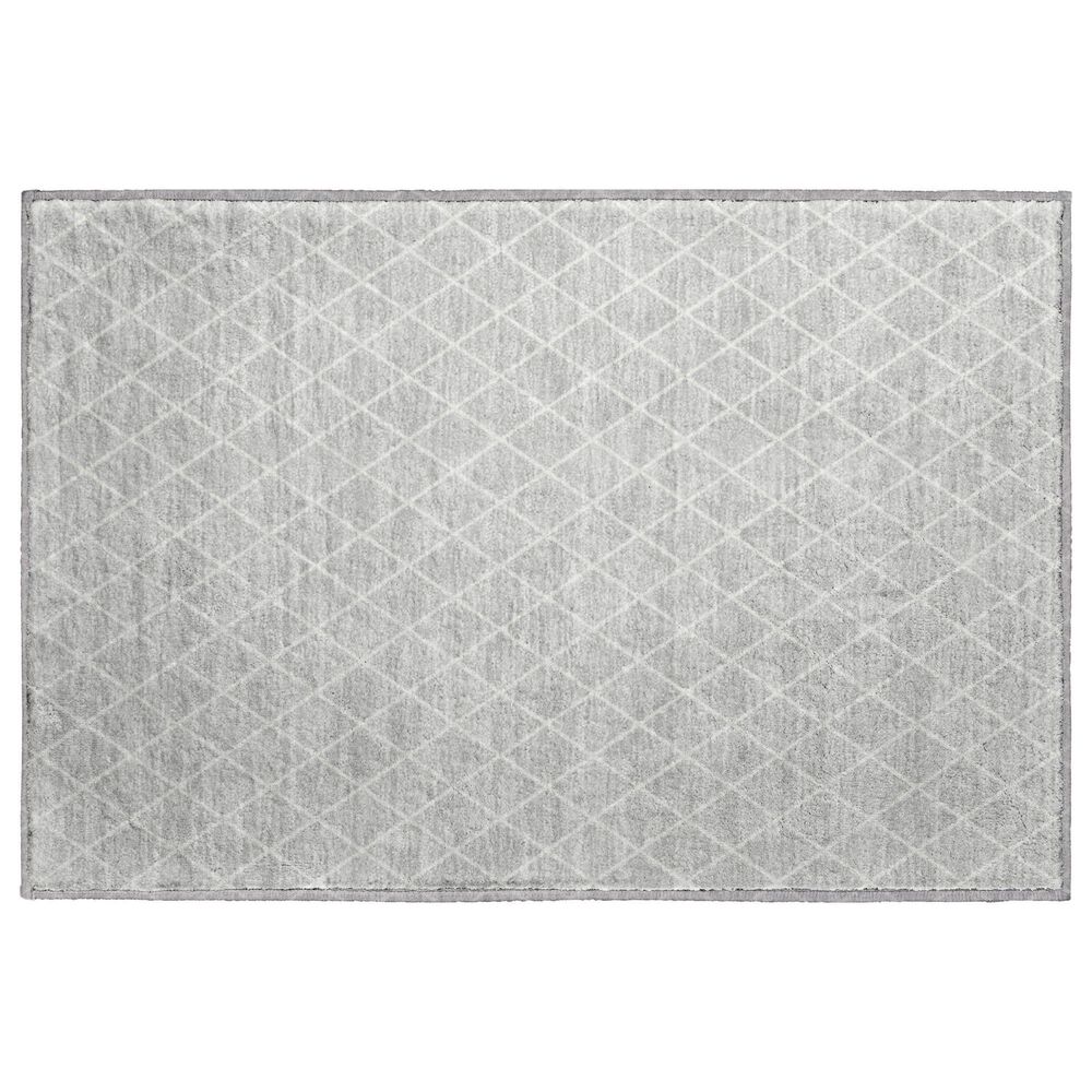Dalyn Rug Company The Reserve TR15 Silver 2"6" x 3"10" Indoor/Outdoor Area Rug, , large
