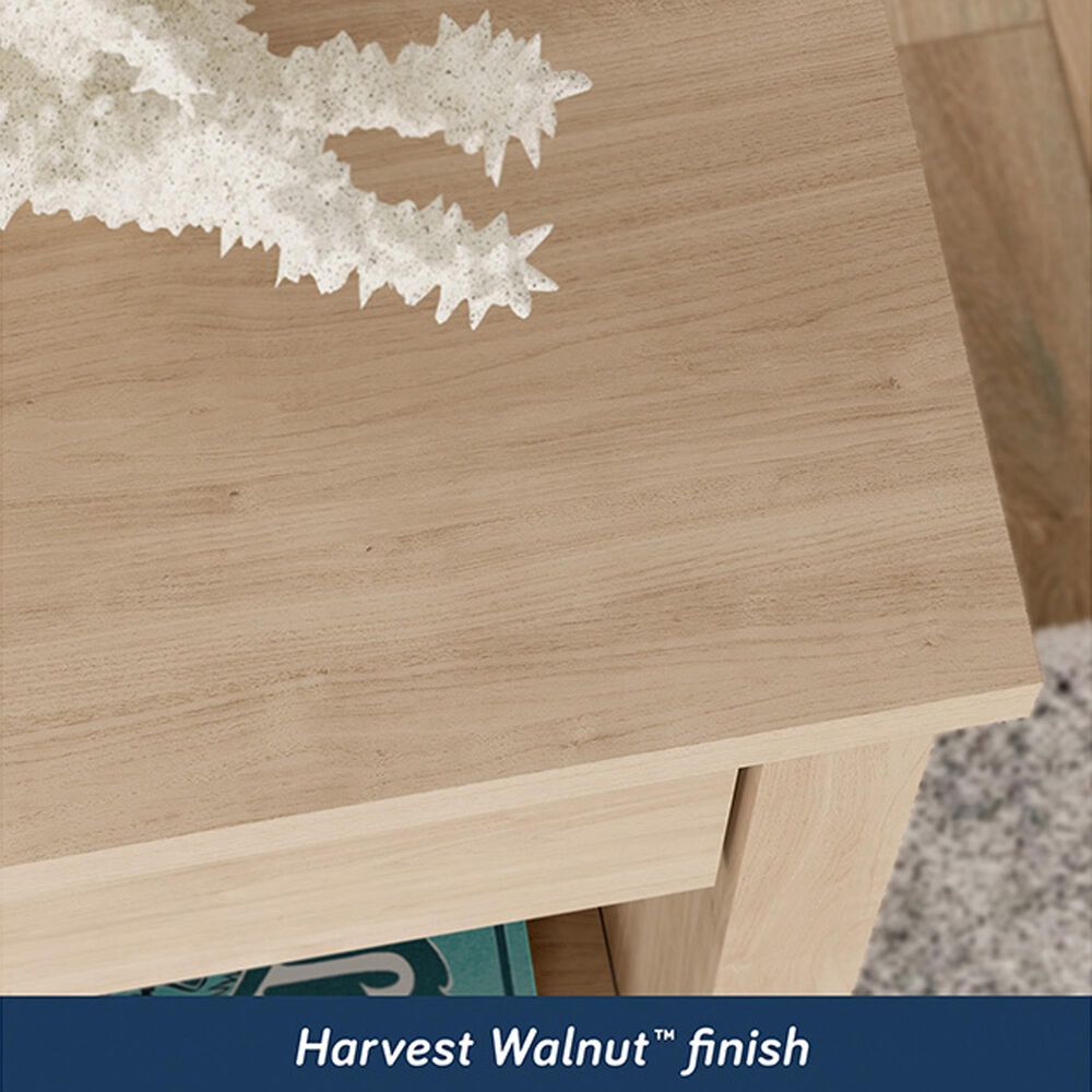 Sauder River Ranch 1-Drawer Nightstand in Harvest Walnut, , large