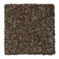 Phenix Day Break Carpet in Massive, , large