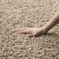 Safavieh Athens Shag SGA119G-26 2"3" x 6" Beige Runner, , large