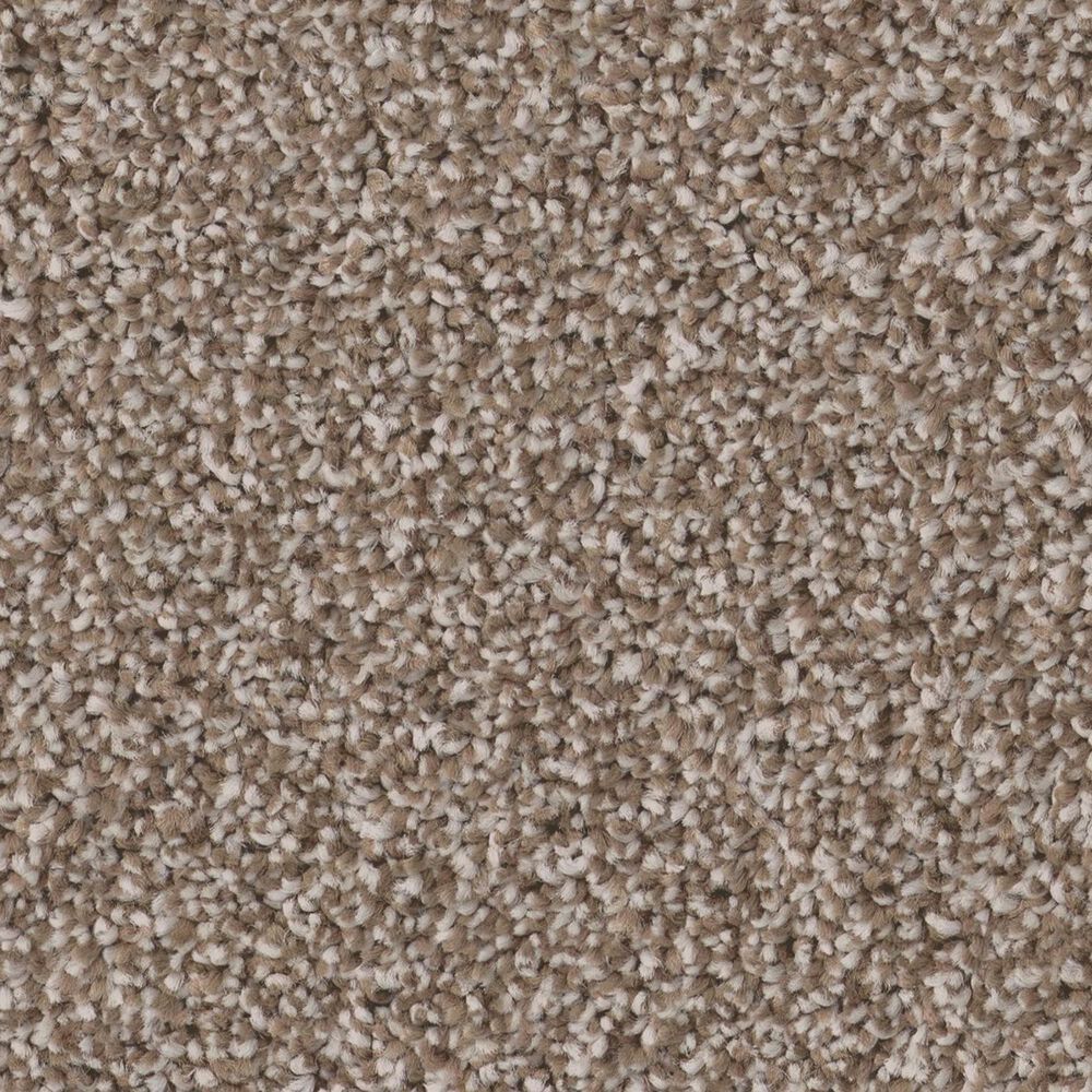 Shaw Pure Affection T Carpet in Mocha, , large