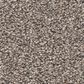 Shaw Grand Influence II Carpet in Stepping Stone, , large