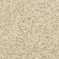 Dixie Home Simplicity Carpet in Mineral, , large