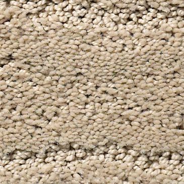 Anderson Tuftex Pose Carpet in Oak Ridge, , large