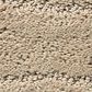 Anderson Tuftex Pose Carpet in Oak Ridge, , large