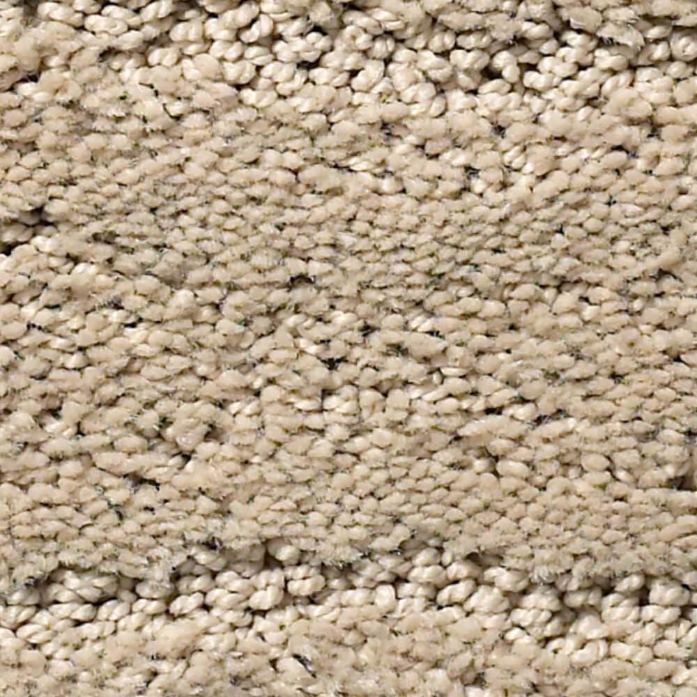 Anderson Tuftex Pose Carpet in Oak Ridge, , large