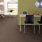 Anderson Tuftex Narrow Creek Carpet in Pebble Creek, , large