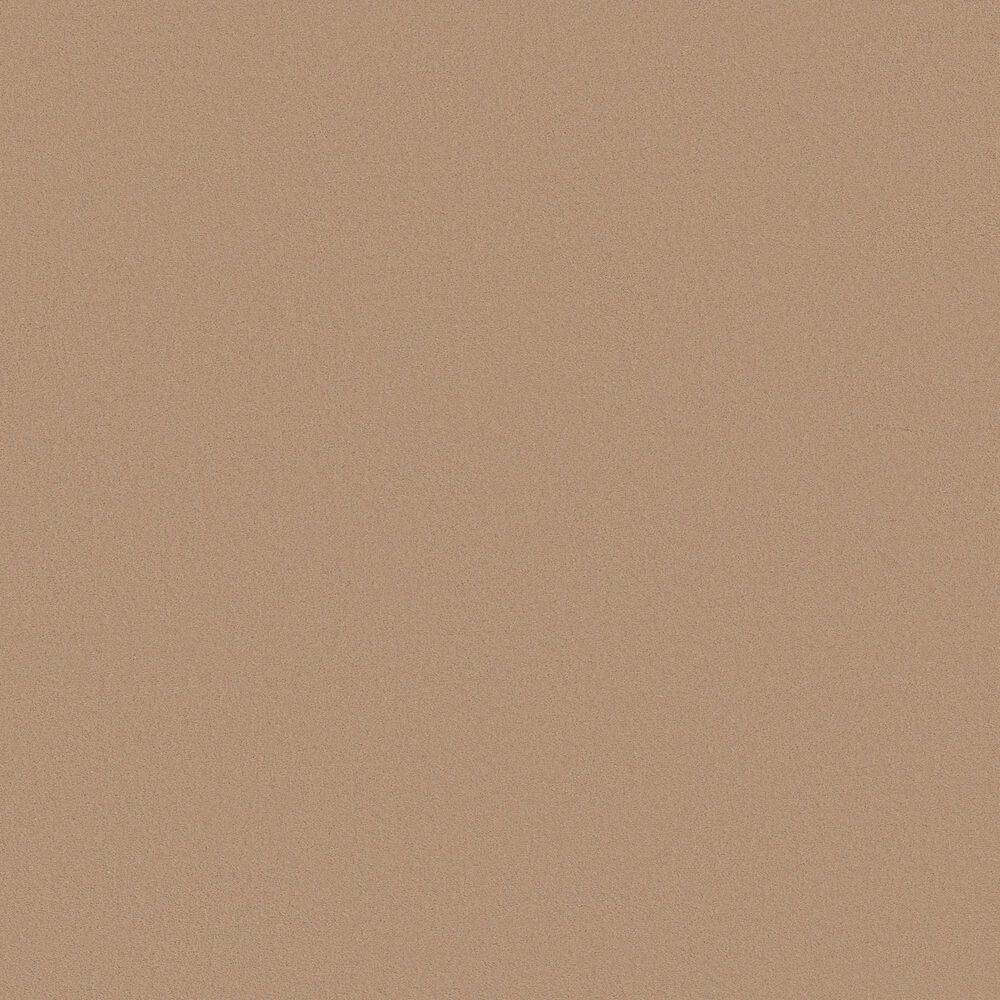 Anderson Tuftex Finery Carpet in Baked Beige, , large