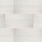 MS International Eden Dolomite 24" x 48" Polished Porcelain Tile, , large