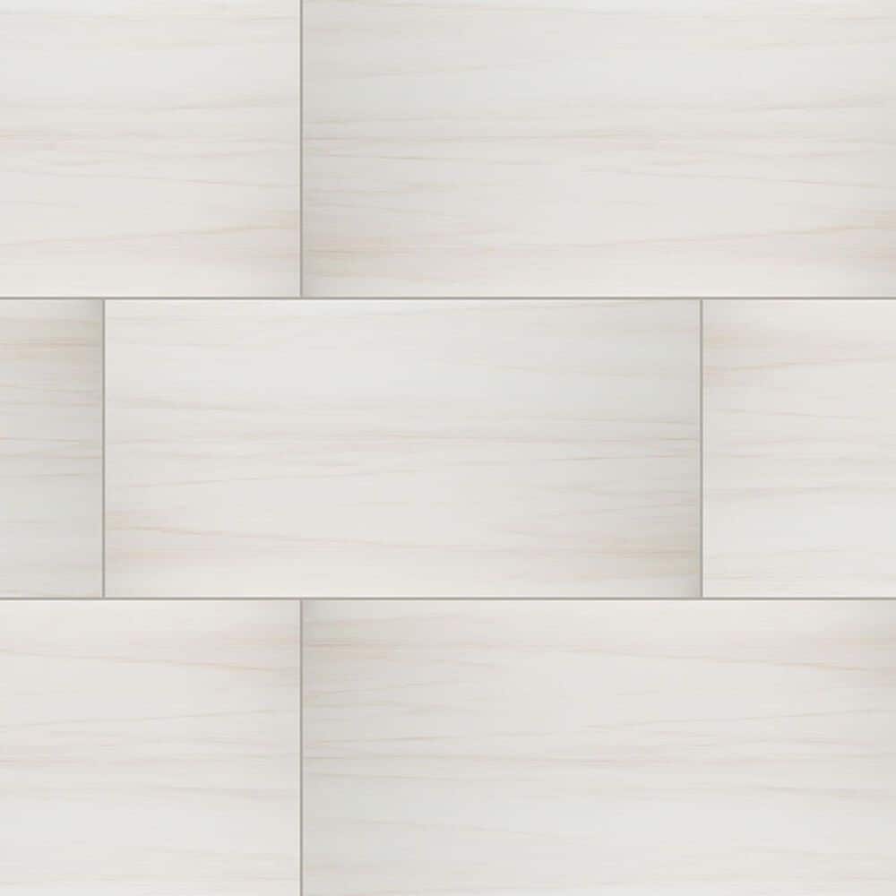 MS International Eden Dolomite 24" x 48" Polished Porcelain Tile, , large