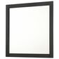Crown Mark Nemy Dresser Mirror in Black, , large