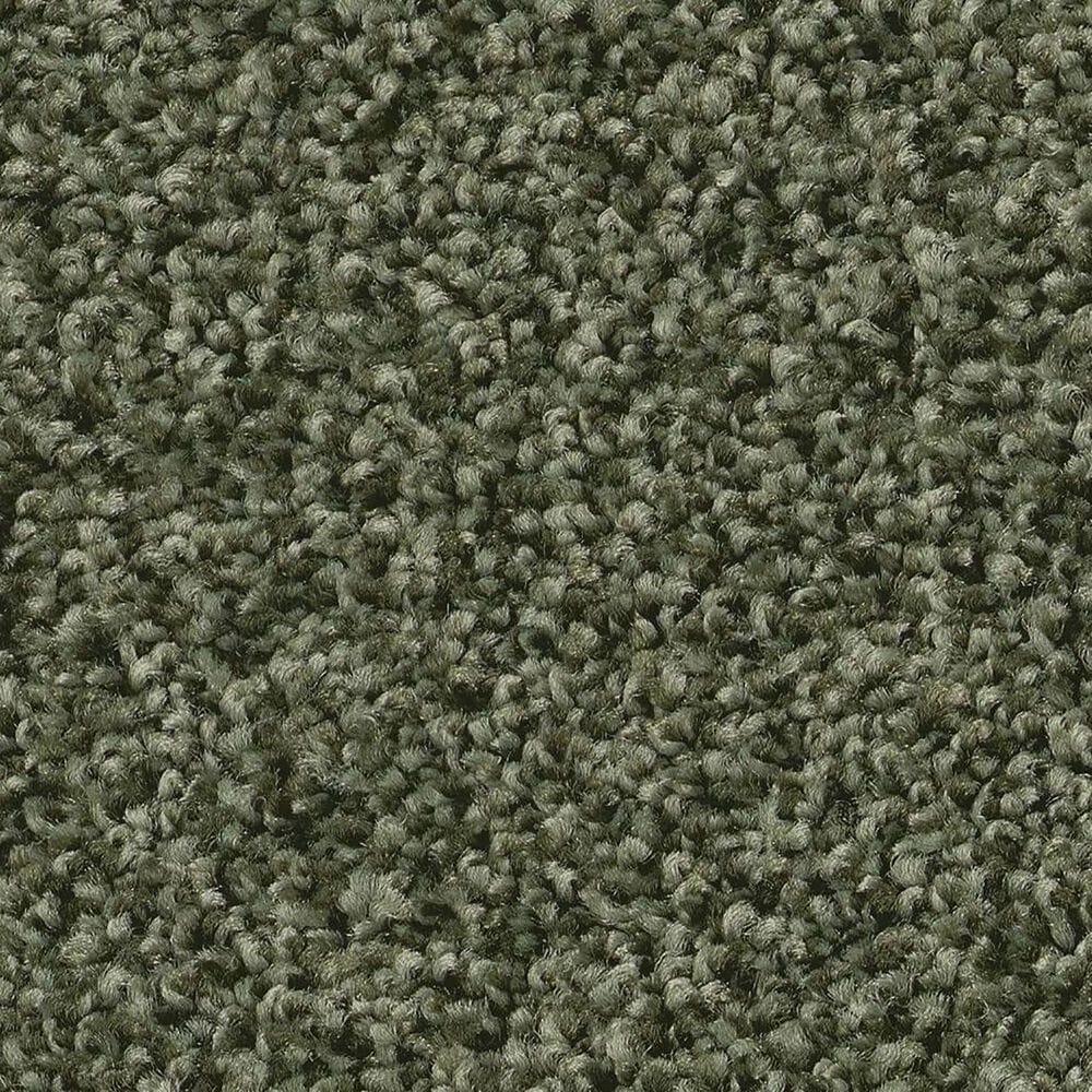 Shaw Tonal Comfort Ii Carpet in Olive Grove, , large