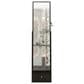 GigaCloud Swivel Jewelry Cabinet with Full Length Mirror and Storage Drawers in Black, , large